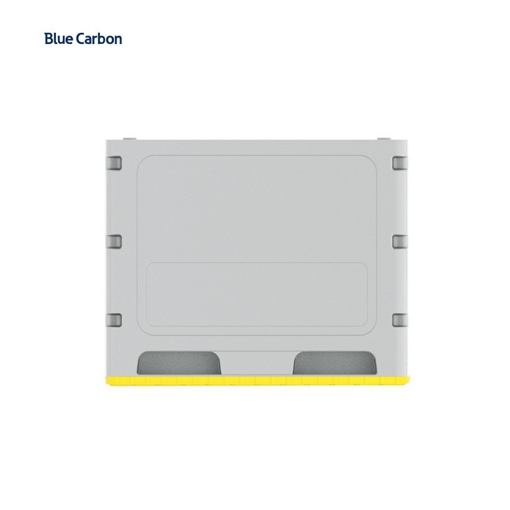 Blue Carbon 24V Solar Battery With Smart BMS for Home Appliances best